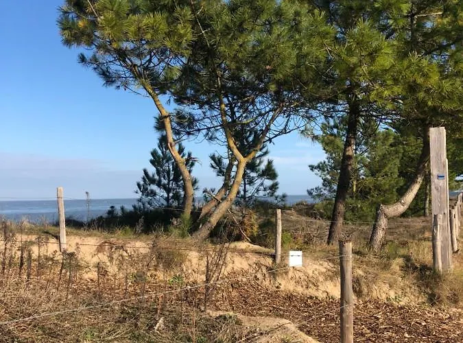 La Gimoniere * La Barre-de-Monts