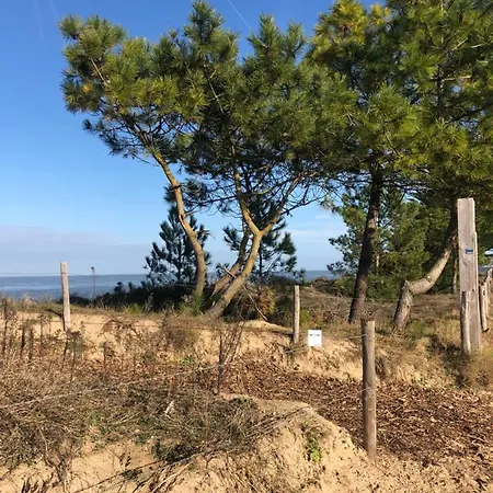La Gimoniere * La Barre-de-Monts