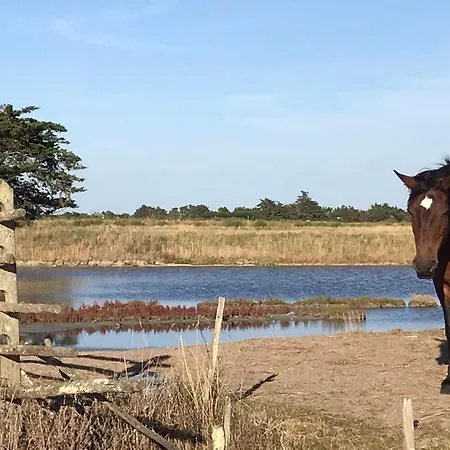La Gimoniere Lejlighed La Barre-de-Monts