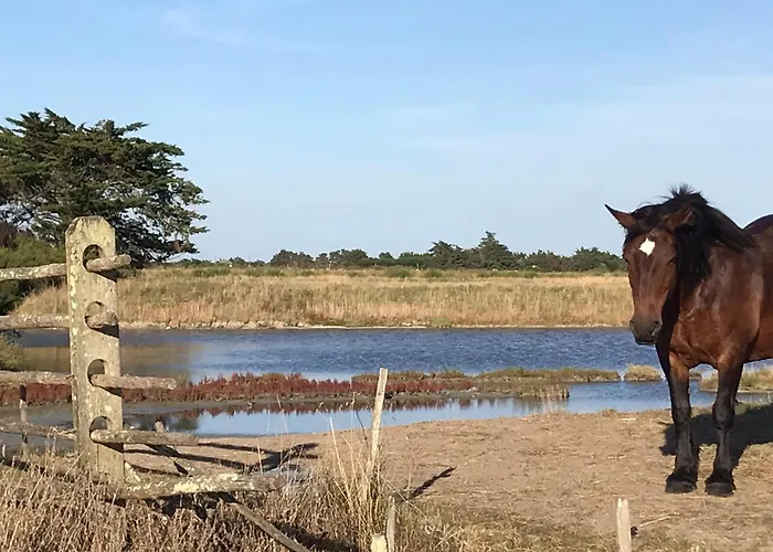 La Gimoniere Appartamento La Barre-de-Monts